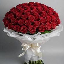 Букет 101 Красная роза Блэк Мэджик в Железногорске-Илимском