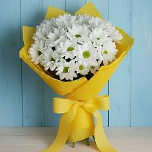 Букет цветов из:  Хризантемы в Железногорске-Илимском