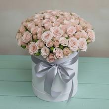 Цветочная композиция из Розы в шляпной коробке в Железногорске-Илимском