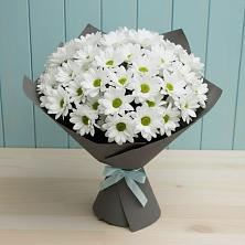 Букет цветов из:  Хризантемы в Железногорске-Илимском