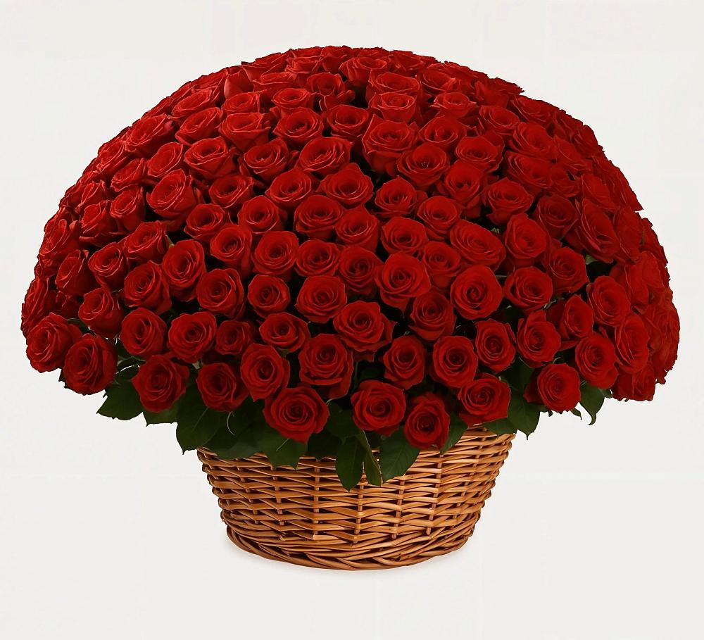 Премиум букет из: Розы в Железногорске-Илимском