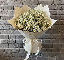 Букет цветов из:  Ромашки в Железногорске-Илимском