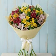 Букет цветов из:  Альстромерии в Железногорске-Илимском
