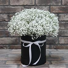 Цветочная композиция из Гипсофила в шляпной коробке в Железногорске-Илимском