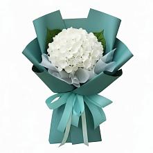 Букет цветов из:  Гортензия #REPLACE_PRED# Железногорске-Илимском